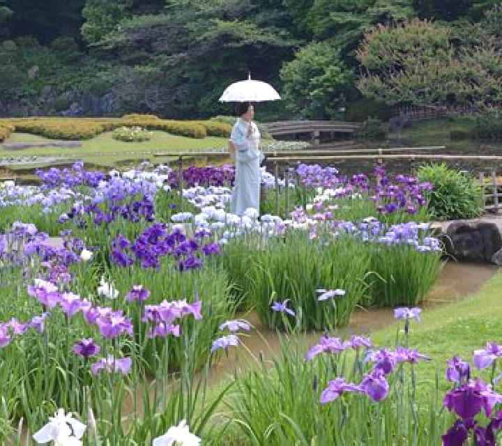 Salma 2 Reznos escort