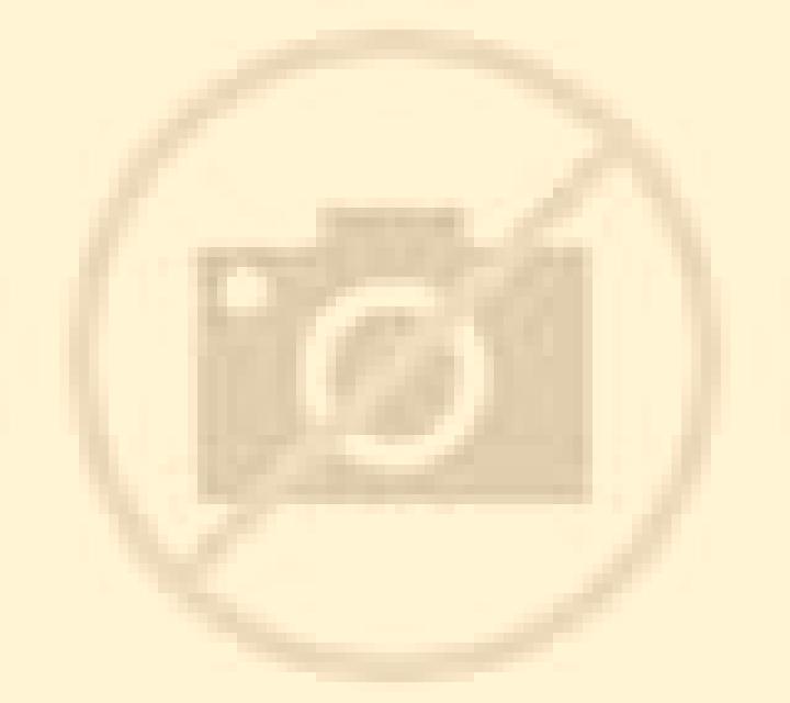 Salma Alique escort