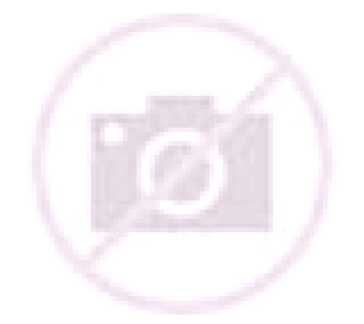Salma Bocairent escort