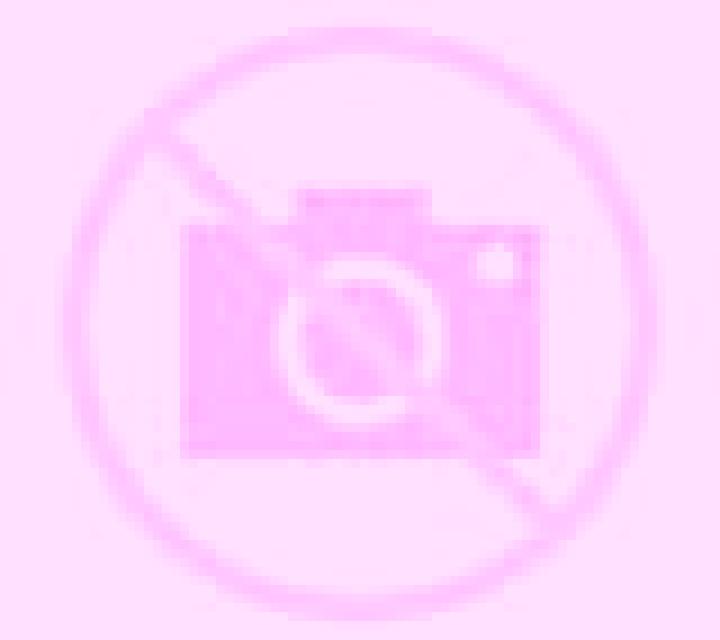 Sara 3 Agreda escort