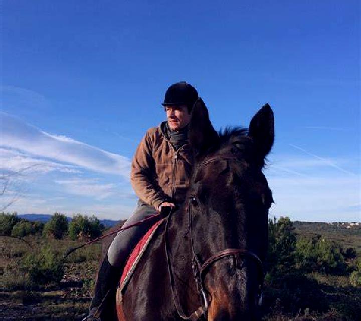 Sara 3 Sojuela escort
