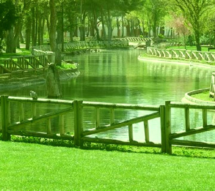 Sara Alcaucin escort