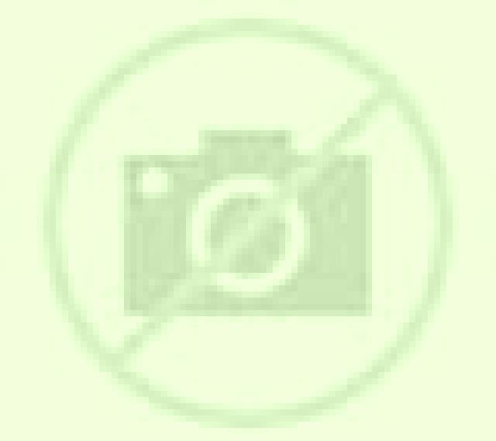 Sara Campazas escort