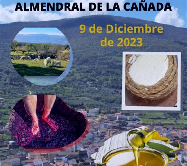 Selene 3 Es Castell escort