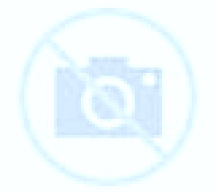 Selene Cercedilla escort