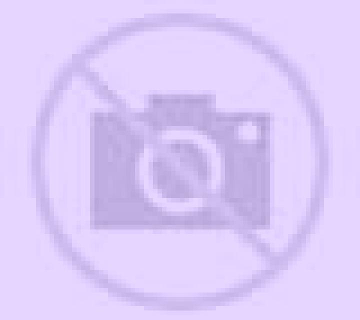 Valeria Camporrells escort