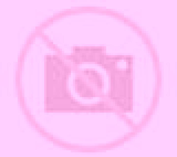 Valeria Llardecans escort