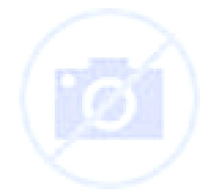 Vega 2 Javea escort
