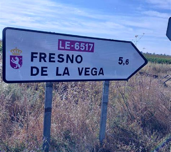 Vega Albons escort