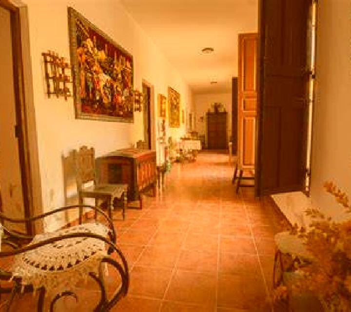 Verónica Castellsera escort