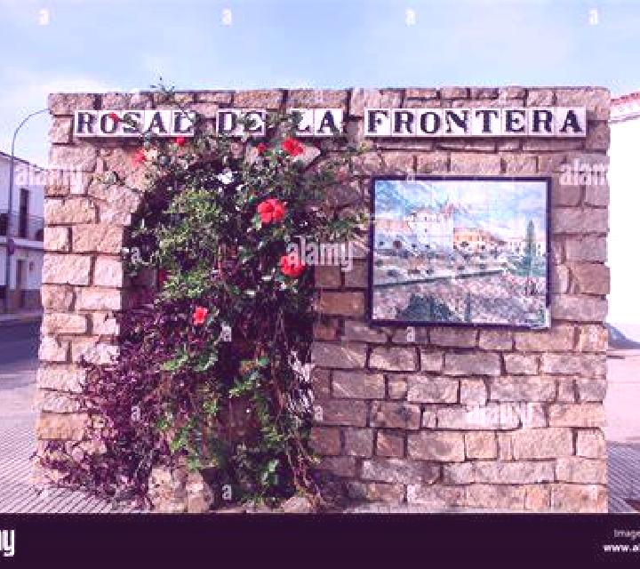 Ximena 2 Balmori escort