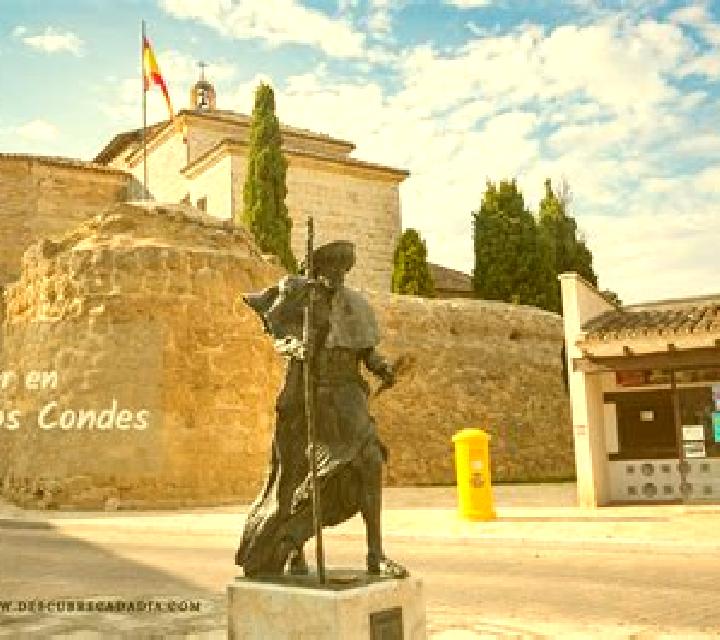 Ximena Carrion de los Condes escort