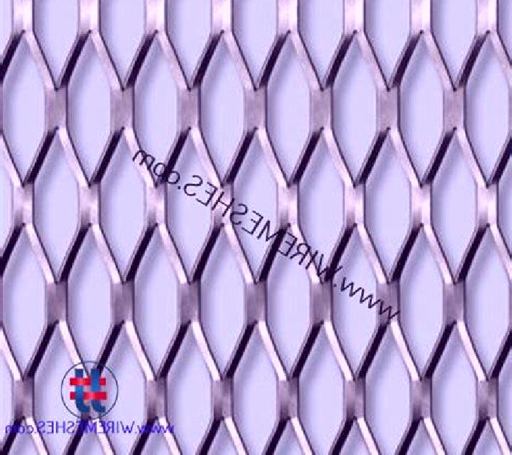 Ximena Jabaloyas escort