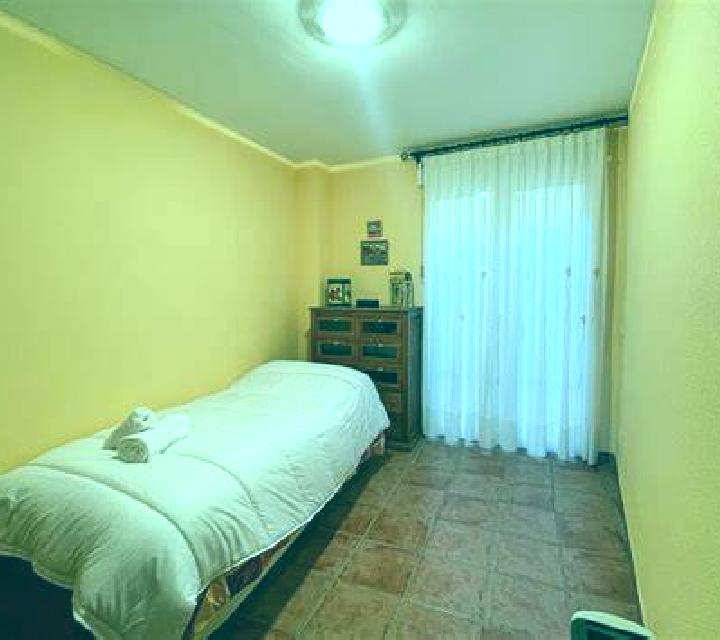 Ximena Rojales escort