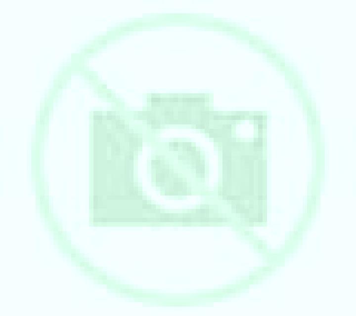 Zara Los Barrios escort